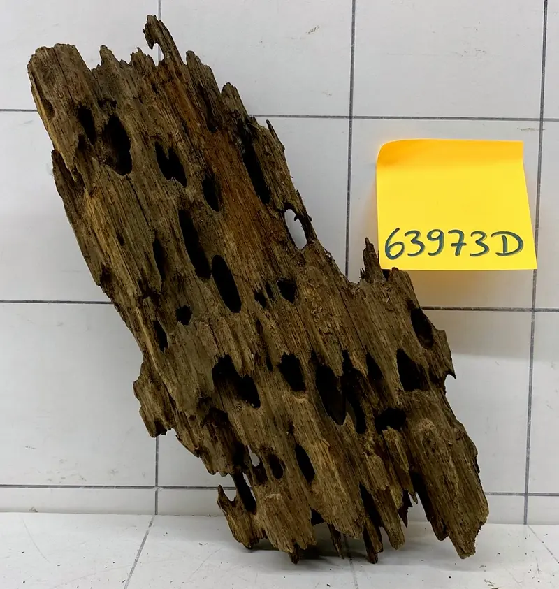 63973D - Drachenholz / Dragonwood