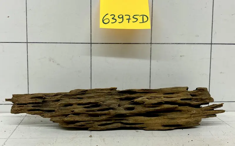 63975D - Drachenholz / Dragonwood