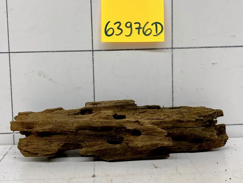 63976D - Drachenholz / Dragonwood