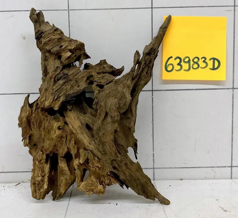 63983D - Drachenholz / Dragonwood