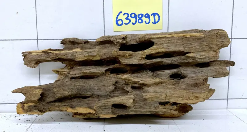 63989D - Drachenholz / Dragonwood