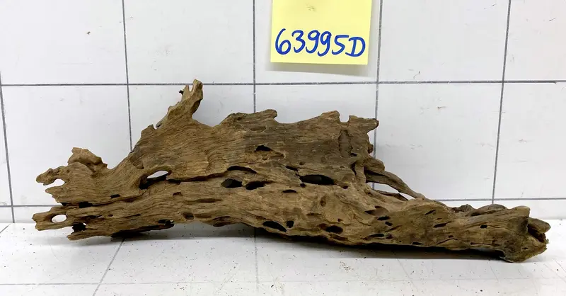 63995D - Drachenholz / Dragonwood