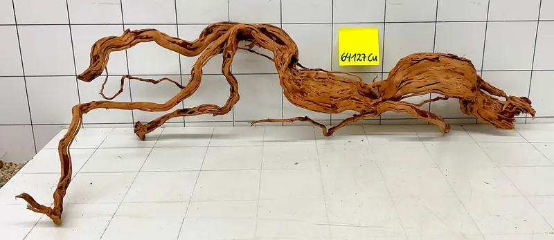 64127Cu - Curlwood Wurzel Holz