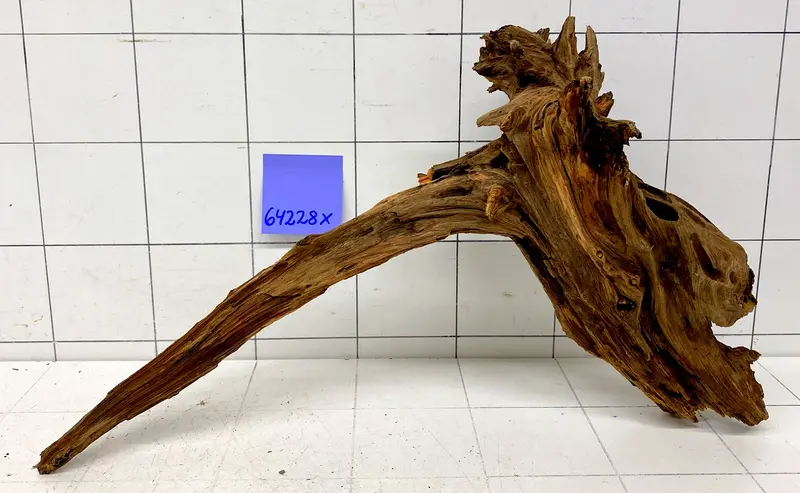64228X - XINGU Wood Wurzelholz