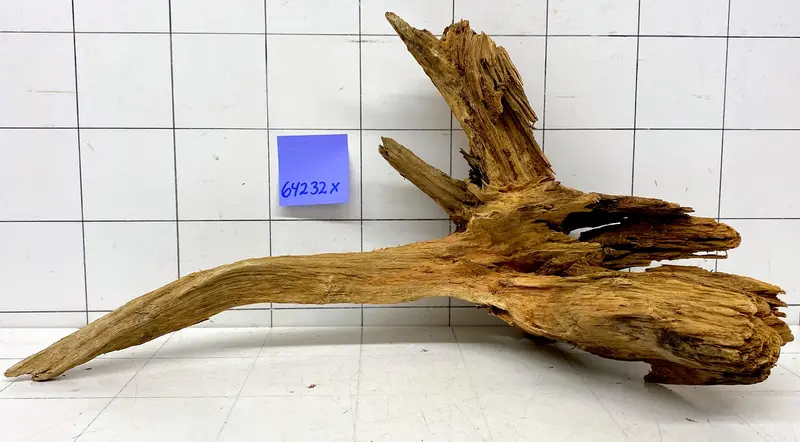 64232X - XINGU Wood Wurzelholz mit geschnittener Grundfläche