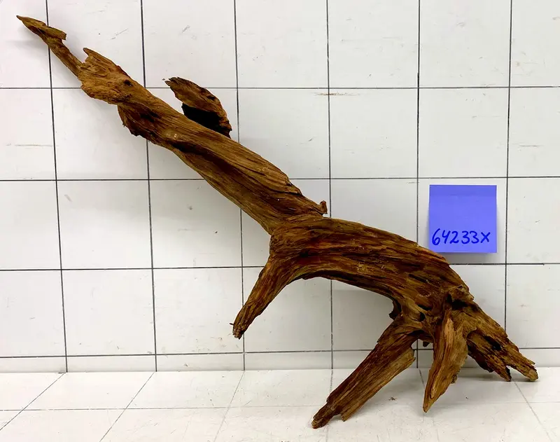 64233X - XINGU Wood Wurzelholz