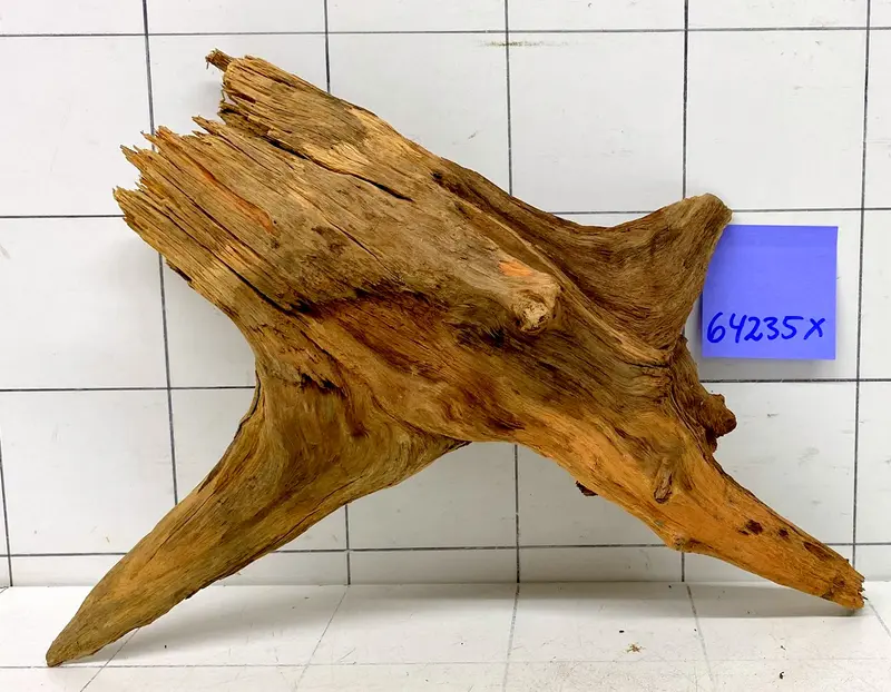 64235X - XINGU Wood Wurzelholz