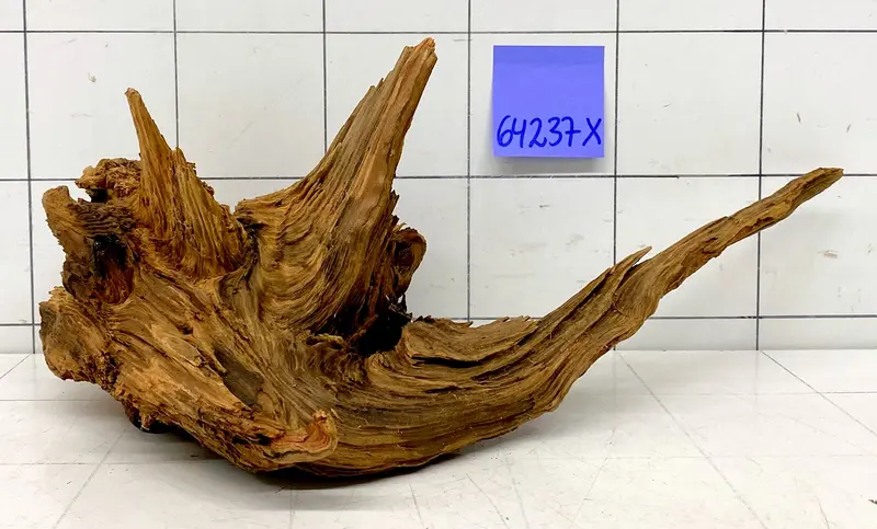 64237X - XINGU Wood Wurzelholz