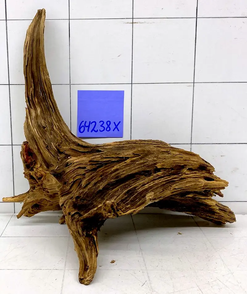 64238X - XINGU Wood Wurzelholz