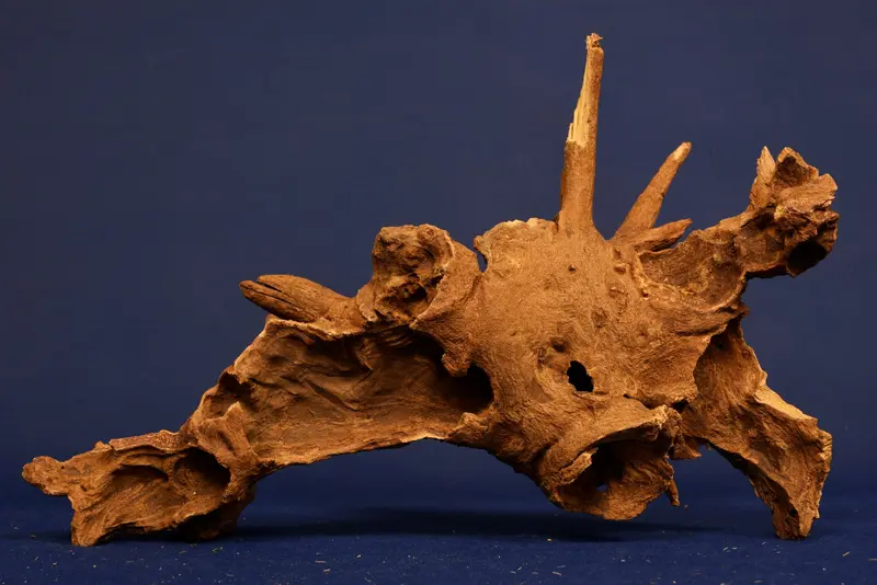 Afrikanisches Hartholz / Savannenholz / Aquarium Wurzel SV238