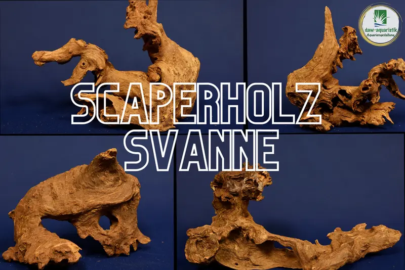 Afrikanisches Hartholz / Savannenholz / verschiedene Varianten, nano #1