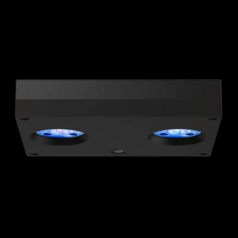 AI Hydra HD 32 LED schwarz