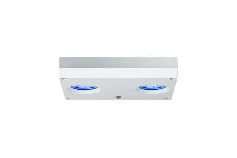 AI Hydra HD 32 LED