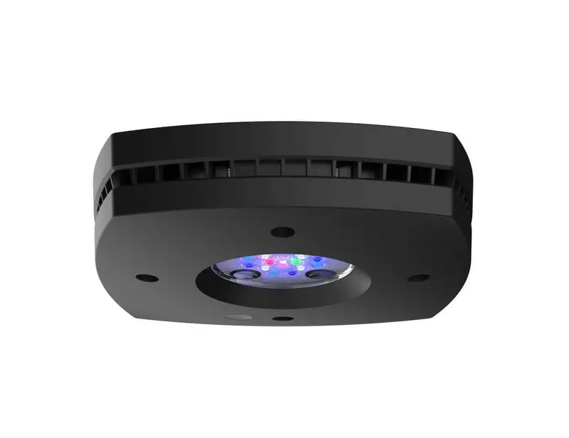 AI Prime 16HD Reef