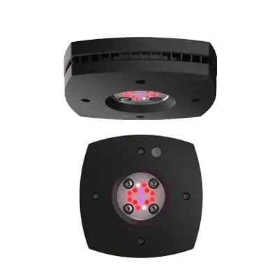 AI Prime FUGE schwarz