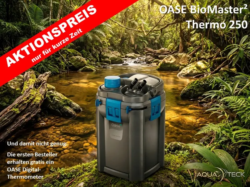 AKTIONSPREIS - OASE BioMaster² 250 Thermo - Premium-Außenfilter mit Heizer + OASE Digital-Thermometer *1)