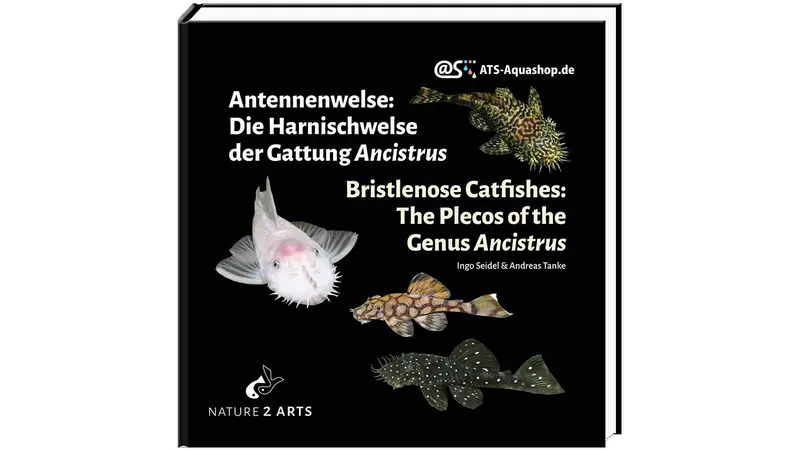 Antennenwelse