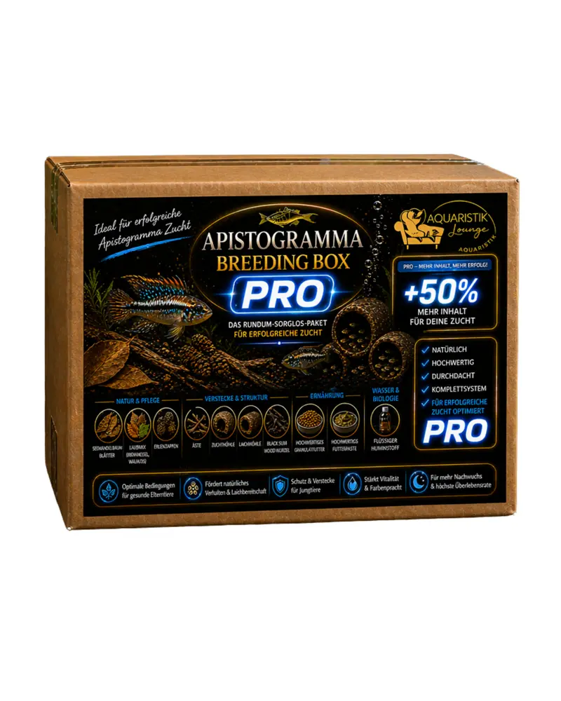 Apistogramma Zuchtbox PRO