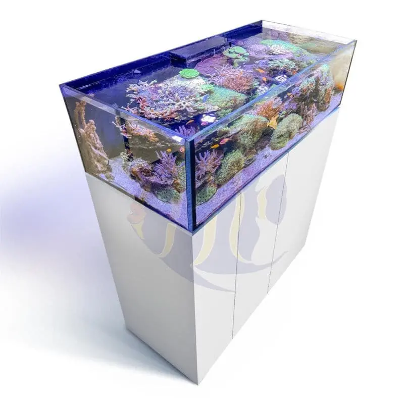 Aqua Medic Armatus Lagoon 400, 355 Liter Beckenvolumen