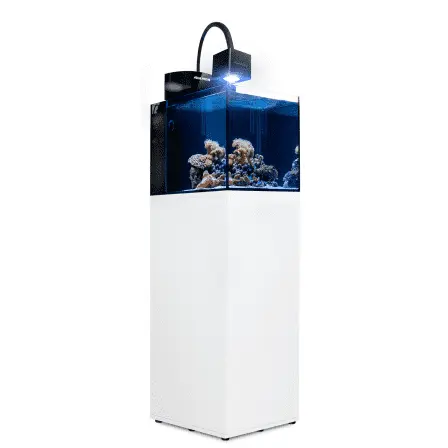 Aqua Medic Blenny Qube, 76 Liter