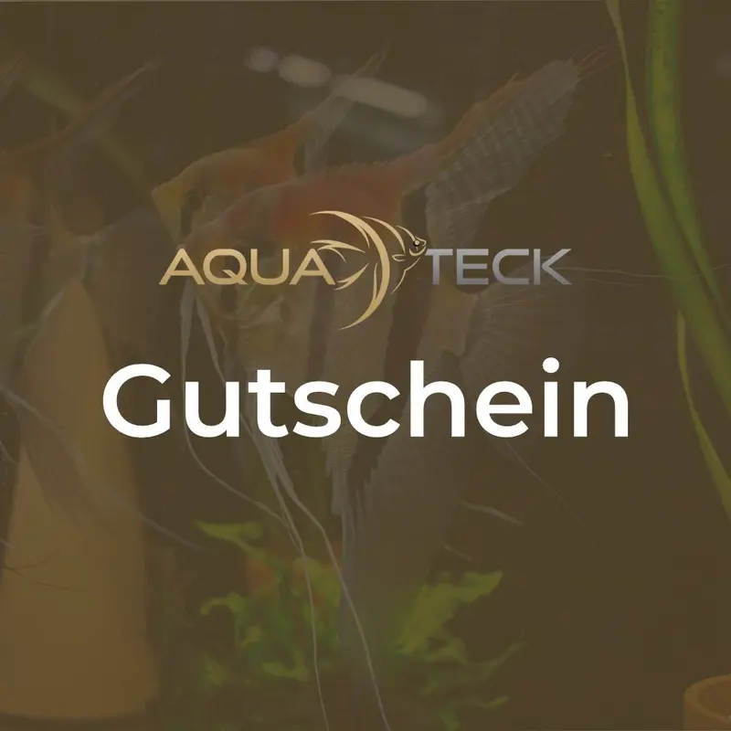 AQUA TECK Geschenkgutschein