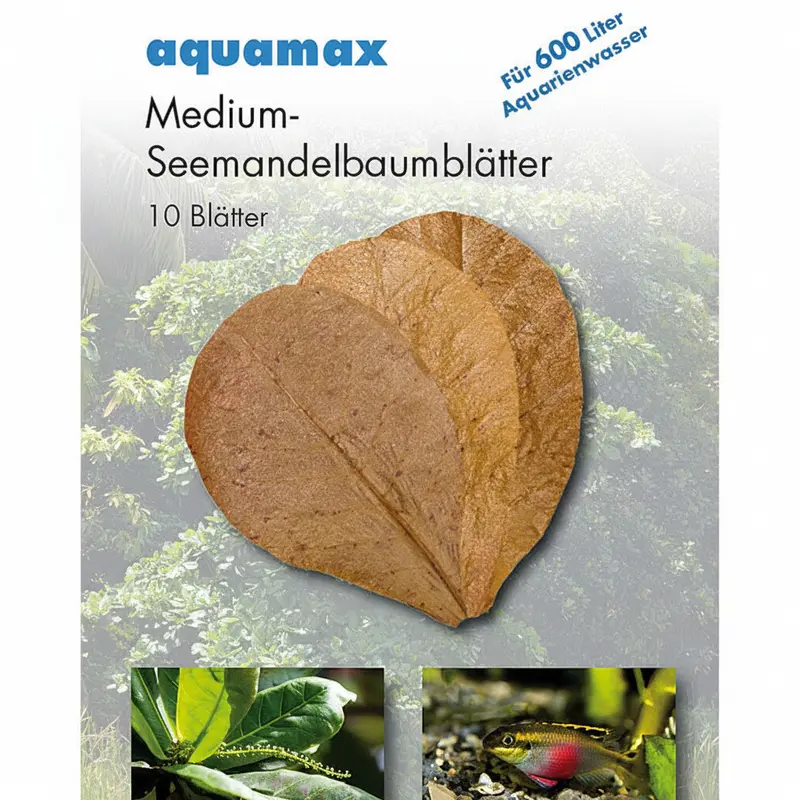 aquamax Seemandelbaumblätter – Nano, Medium & Maxi