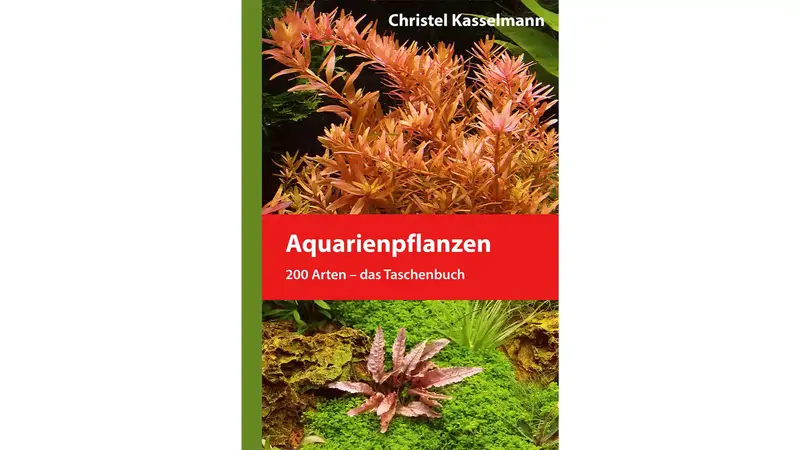 Aquarienpflanzen