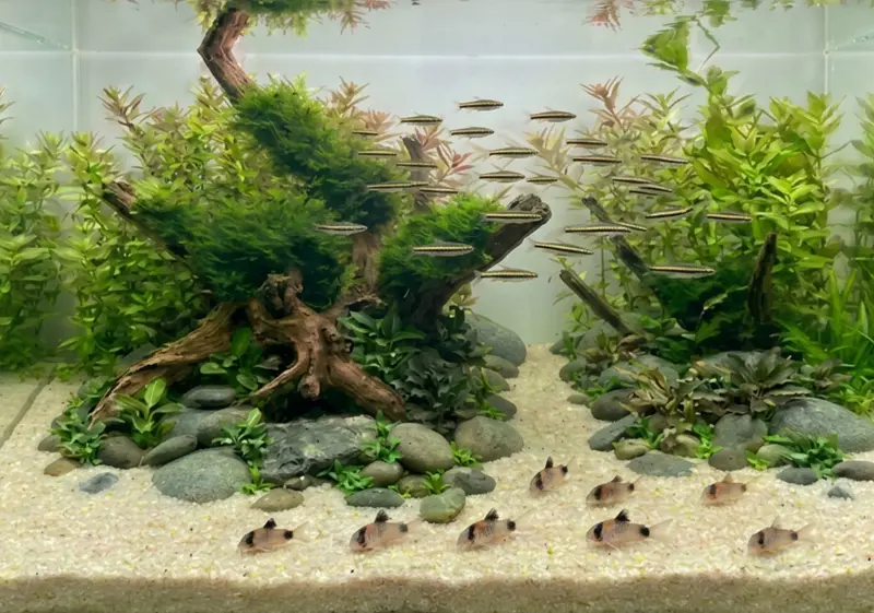 Aquariensand weiß fein (0,3-0,8 mm) 5kg