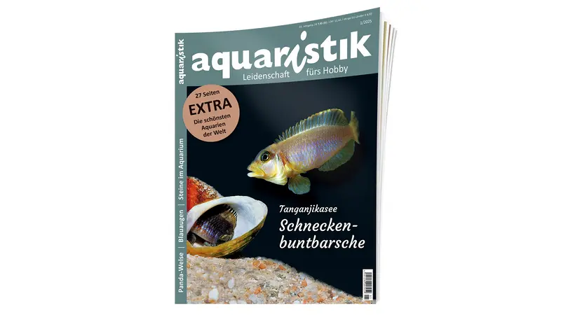 aquaristik 2025/1 | Zeitschrift