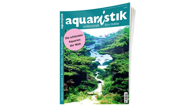 aquaristik 2026/1  | Zeitschrift