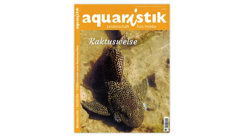 aquaristik 2026/3 | Zeitschrift