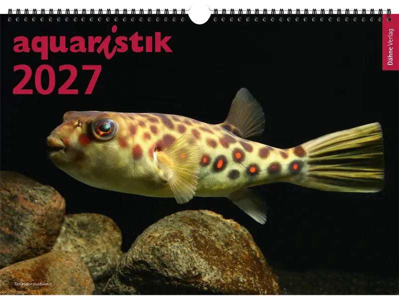 aquaristik Kalender 2027