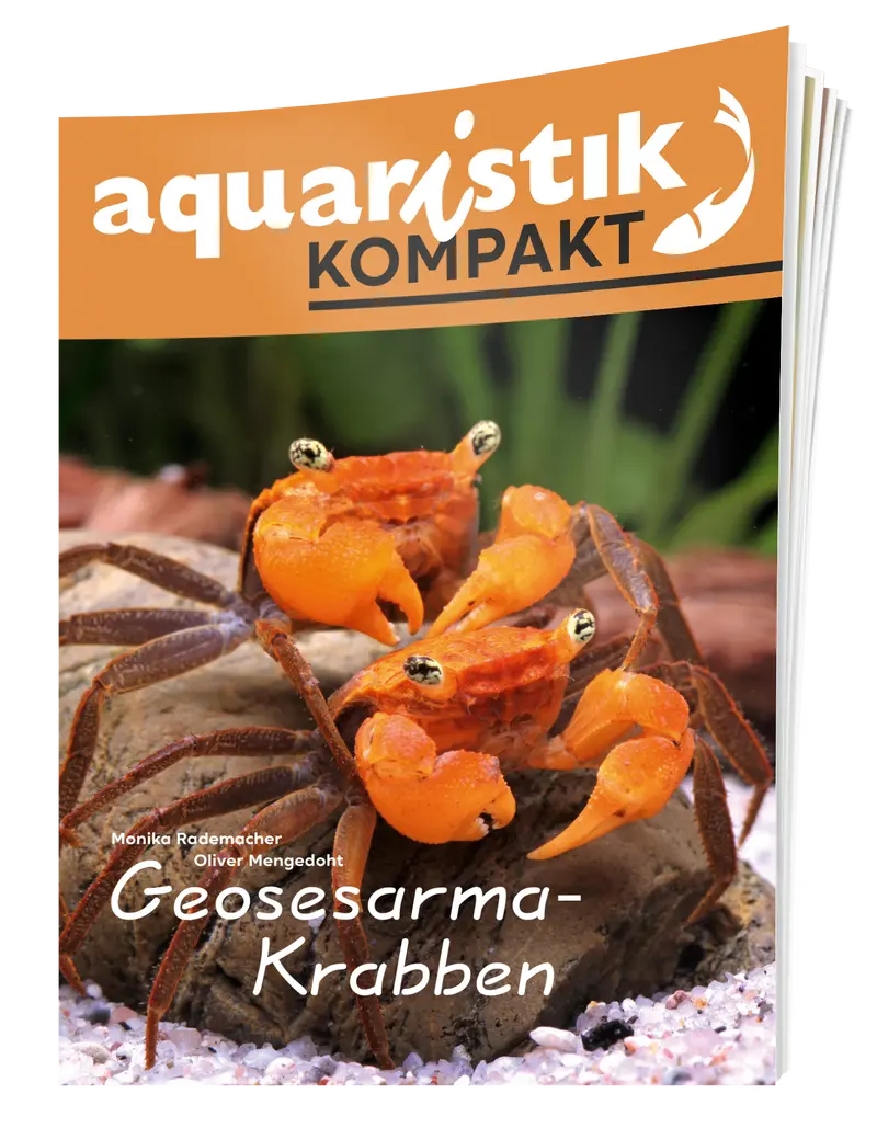 aquaristik Kompakt - Geosesarma-Krabben
