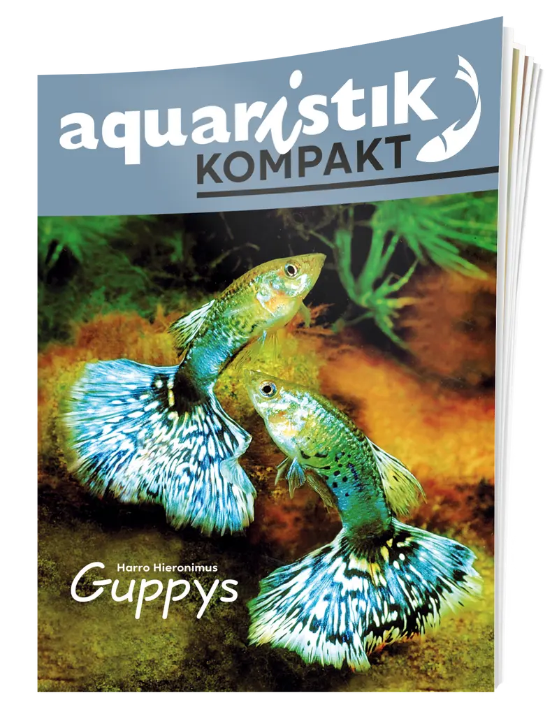 aquaristik Kompakt - Guppys