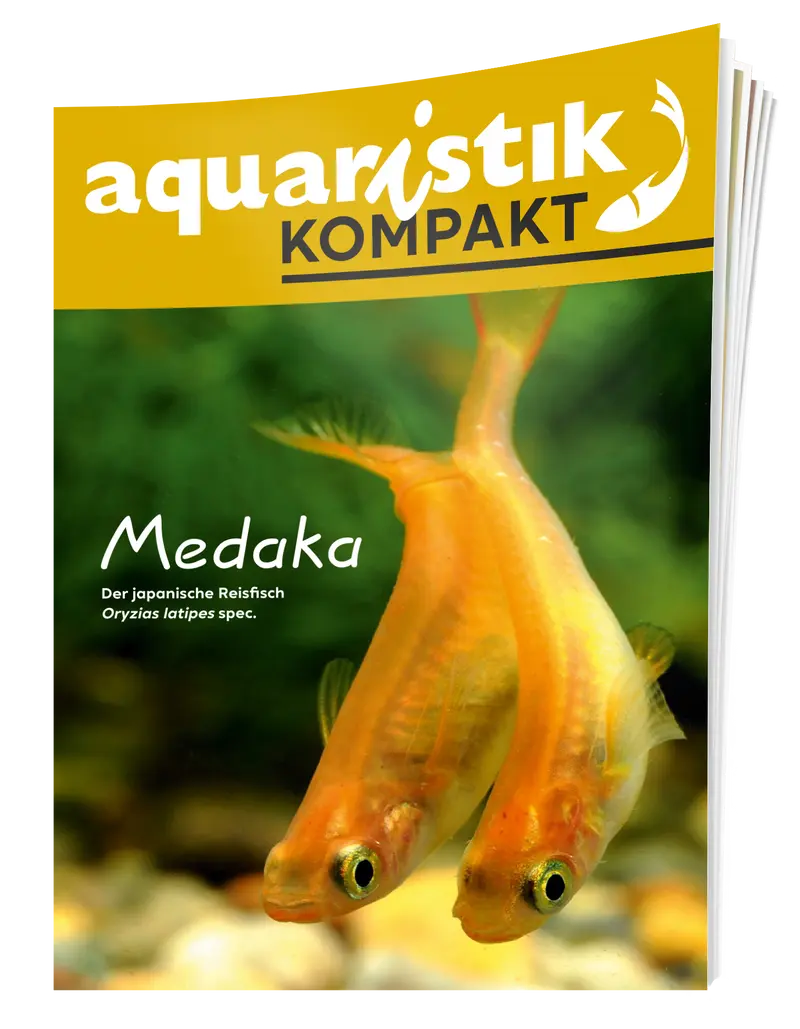 aquaristik Kompakt - Medaka