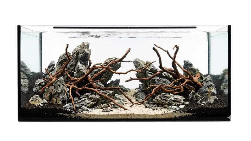 Aquarium 100x50x40cm (LxTxH) 200l - Versandkostenfrei!