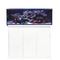 Aquarium D-D Reef-Pro 1200, ca. 400Liter, Höhe 46 cm