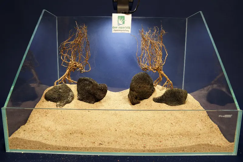 Aquascaping Layout- Aquarium Landschaft #11