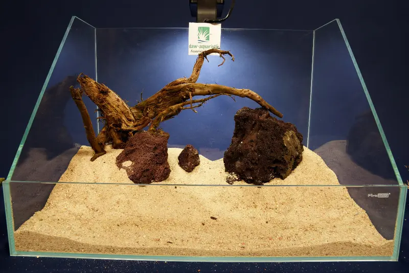 Aquascaping Layout- Aquarium Landschaft #12