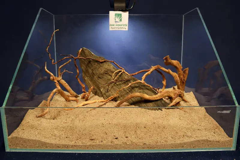 Aquascaping Layout- Aquarium Landschaft #19