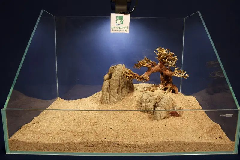 Aquascaping Layout- Aquarium Landschaft #20