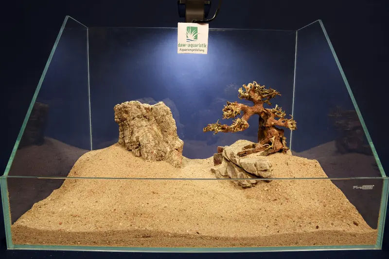 Aquascaping Layout- Aquarium Landschaft #21