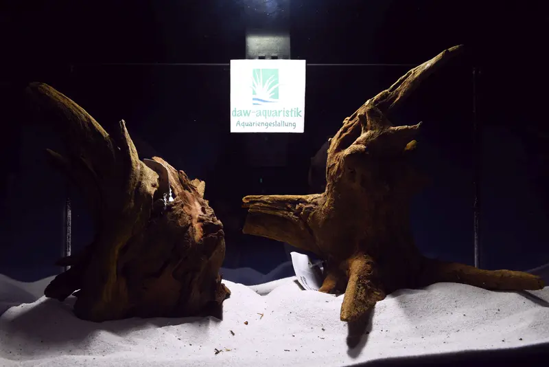 Aquascaping Layout- Aquarium Landschaft, Corbo Wood #47