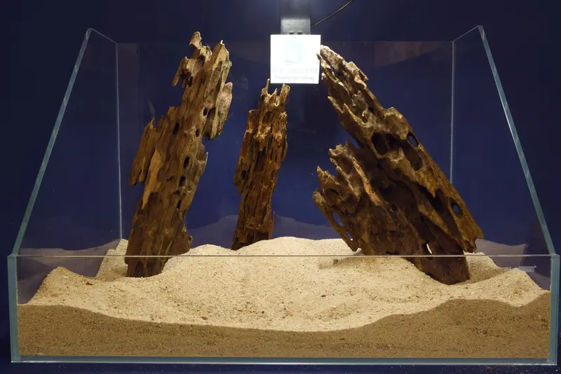 Aquascaping Layout - Aquarium Landschaft, Dragon Wood / Drachenholz DR07