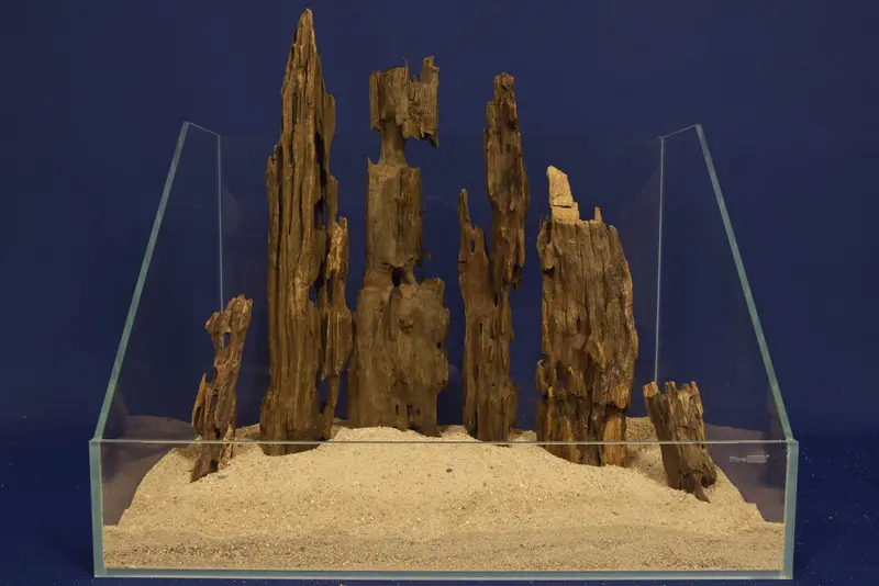 Aquascaping Layout - Aquarium Landschaft, Dragon Wood / Drachenholz DR09