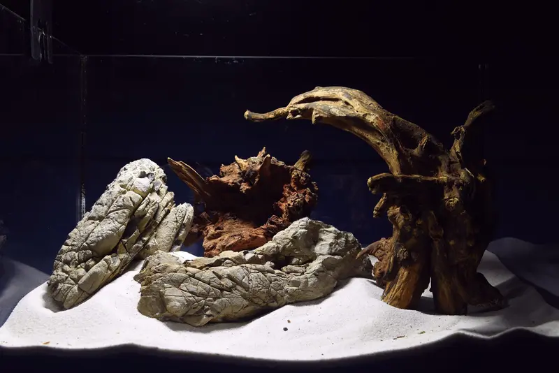 Aquascaping Layout- Aquarium Landschaft - Slim Wood NOV1