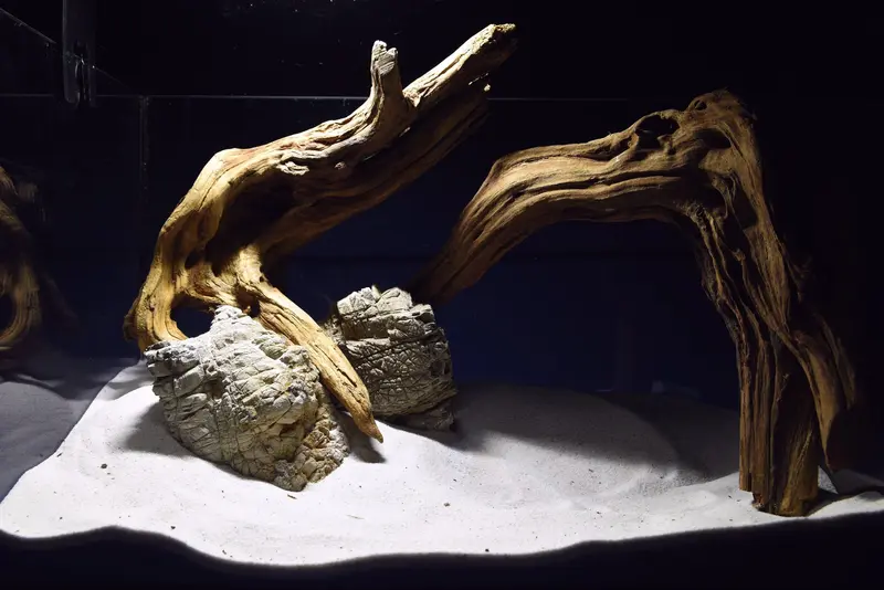 Aquascaping Layout- Aquarium Landschaft - Slim Wood NOV2