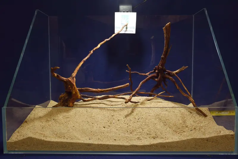 Aquascaping Layout- Aquarium Landschaft, Slim Wood / Scaperwood #265