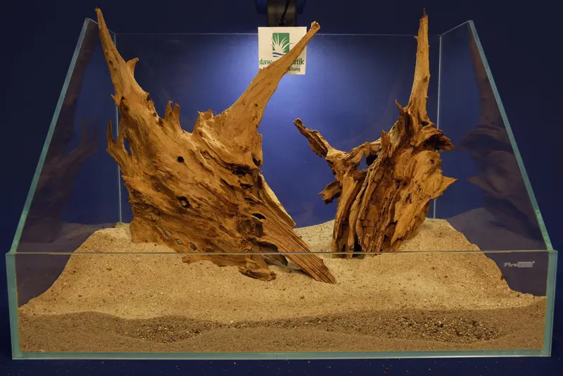 Aquascaping Layout- Aquarium Landschaft, Taigaholz #107