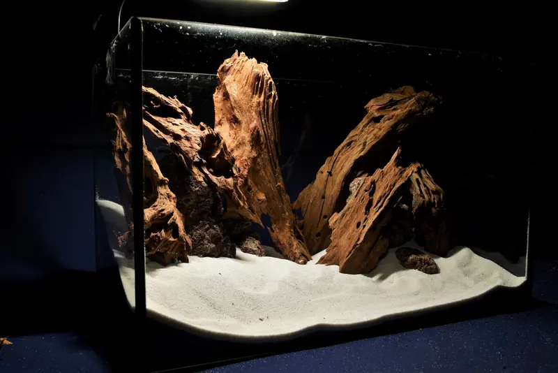 Aquascaping Layout aus unserer Kollektion - Mangroven- Set